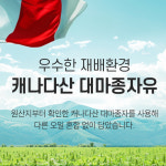 뉴일리 대마종자유 식물성캡슐100 30캡슐 2박스 캐나다산 햄프씨드오일 100% 냉압착추출 : HKmart