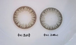 (매장방문필수)클라렌 아이리스 30p 원데이 1+1 이벤트 2팩 : 연수 트랜디카안경