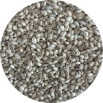 보리 1kg, 1개 : 손수담 sonsoodam