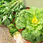 화제의 중심 국내산 제철 봄동 배추 봄동 비빔밥 : 익산원예농협 농협이마켓