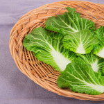 화제의 중심 국내산 제철 봄동 배추 봄동 비빔밥 : 익산원예농협 농협이마켓