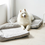 댕댕템 대형견 강아지방석 애견쿠션 커버문리 반려견 침대 대형 3XL : 동화속나무