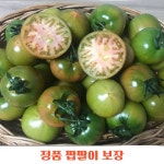 부산 대저 짭짤이 토마토 환불보장 농장직송 대저토마토M, 2.5kg, 1개 : 동식컴퍼니