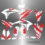 베타 X 트레이너 X-TRAINER 250 300 데칼 그래픽 스티커 키트 전체 오토바이 C0409BBE : basayou1116