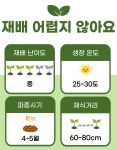 여주 씨앗 10립 세계종묘 종자 모종 작물 텃밭 채소씨앗 일반종 덩쿨성 : 슬기로운농약사