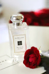 조말론 레드 로즈 코롱 100ml : SCENTLIA