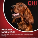 CHI 강아지용 엉킴 방지 그루밍 장갑 털 또는 모두에게 사용을 및 - 건식 맞는 강아지 : 온슈어데이