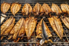 고흥생선구이 시장택배 전문점 본점 : 와이비팩토리