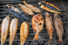 고흥생선구이 시장택배 전문점 본점 : 와이비팩토리