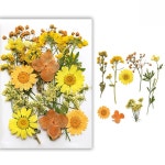 건조 꽃 자연 식물 압화 에폭시 레진 네일 아트 수공예품 만들기 공예 1. E : 바이몰30호점