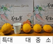 하로농원 제주 노지 한라봉 못난이 10kg 산지직송 제철 감귤 : 움직이는잡화점