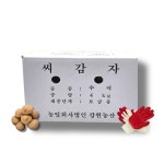 봄감자 파종용 수미 씨감자 4kg 텃밭 감자심기 종자용 강원도 보급종 우리농약종묘사 : 우리농약종묘사