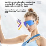 사이클링 고글 변색 야외 스포츠 전문 로드 바이크 하이킹 등산 방풍 1. TS325-PH-GR-1L-02 : 바이몰47호점