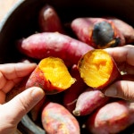 해남 꿀고구마 베니하루카 2키로 햇고구마 : 산해직송