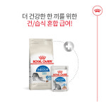 로얄캐닌 인도어 캣 4kg + 습식 파우치 85g 6개 (인도어 그레이비) : 강아지왕국 고양이왕국