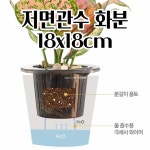 저면관수화분 반투명 18x18cm 플라스틱 물흡수 자동급수 화분 : BOWMEW