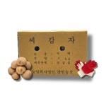 봄감자 파종용 두백 씨감자 4kg 텃밭 감자심기 종자용 강원도 보급종 우리농약종묘사 : 우리농약종묘사