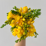 프리지아 생화꽃 후리지아 생화택배 꽃다발 꽃배달싼곳 : 꽃우편