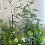 꽃꽂이클래스 꽃다발 만들기 플라워 꽃바구니 센터피스 배우기 부케 원데이 수업 온라인 레슨 : 빌프랑