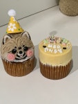 펫스튜리 입체 컵 케이크 강아지 생일 저알러지 수제 단호박 고구마 : 펫스튜리petschurri