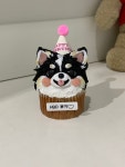 펫스튜리 입체 컵 케이크 강아지 생일 저알러지 수제 단호박 고구마 : 펫스튜리petschurri