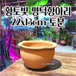 다육이용 황토빛 항아리 갈색 화분 22x13cm 토기 엔틱화분 : BOWMEW