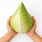 비타민채소 아삭 달콤 제주도 꼬깔양배추 3kg 5kg 원뿔 미니 방울 양배추 : 홍쁘로 스토어