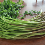 삼미농원 영양가득 제철 햇 청도 미나리 1Kg : 농업회사법인 일농