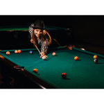 당구 당구공 billiard 초크 당구대 큐대 당구장 커플 레저 스포츠 운동 용품 포켓볼 파르텔 벽지 시트지 롤스크린 : 으뜸데코