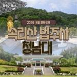 [부산출발] 속리산법주사 + 청남대 힐링여행 부산출발 당일치기 버스여행 청춘여행사 : 청춘여행사