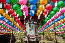 청산도 해남 1박 2일 슬로시티 : 뉴강남여행사