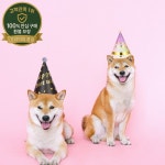 10Pcs 작은 중형 대형견을 위한 귀여운 강아지 생일 파티 모자 개 생일 축하를 위한 재미있는 축제 콘 스타일 모자 : 팔룡산업
