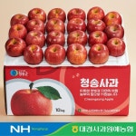 경북 청송 정품 꿀사과 부사 10kg : 대경사과원예농협 쇼핑몰