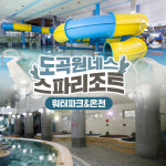 [전남] 썬웨이 워터파크 도곡온천 이용권 물놀이 수영장 스파 : LSCOMPANY