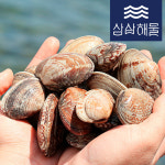 선별 해감 살아있는 참바지락, 바지락 1kg : 삼삼해물