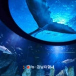 부산출발 충청도 1박2일 버스 여행 4색 백제길 힐링로드 뉴강남여행사 : 뉴강남여행사