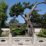 창덕궁 인문학산책 역사 체험 투어 스토리텔링 교양 : 문화산책