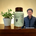 밭들농장 씨를 완전히 제거한 여주분말 3개 70g : 빅홍쇼핑