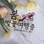 벚꽃 여행 토퍼 봄나들이 동호회 친구 커플 모임 : 옥희네토퍼