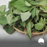 하동 지리산 햇 산 취나물 : 주왕산가든