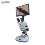 아로 동원 실체현미경 DSZM-7045M 학교 교사 : 주식회사 아로