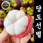 [유통마진제로] 솜사탕같은 프리미엄 태국산 망고스틴 : 꾸티
