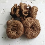 강원도 자연산 능이버섯 : 강원송이총판