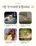 히야펫 노즈워크 매트 시리즈 햄버거 에디션 : 히야펫