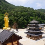 [부산출발] 속리산법주사 + 청남대 힐링여행 부산출발 당일치기 버스여행 청춘여행사 : 청춘여행사