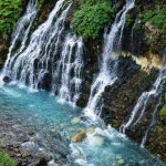 흰그림자투어 오리지널 투어  비에이 후라노 투어 스스키노 I 아침 9시 30분 출발 - 저녁 7시 도착 : 흰그림자투어 주식회사