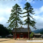 [부산출발] 속리산법주사 + 청남대 힐링여행 부산출발 당일치기 버스여행 청춘여행사 : 청춘여행사