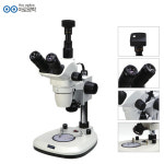 아로 동원 실체현미경 DSZM-T110C 학교 교사 : 주식회사 아로