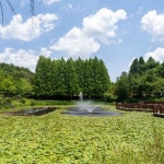 [부산출발] 속리산법주사 + 청남대 힐링여행 부산출발 당일치기 버스여행 청춘여행사 : 청춘여행사