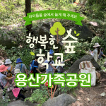 [용산가족공원]주말나들이 토요 유아숲체험 : 행복한숲학교 숲체험